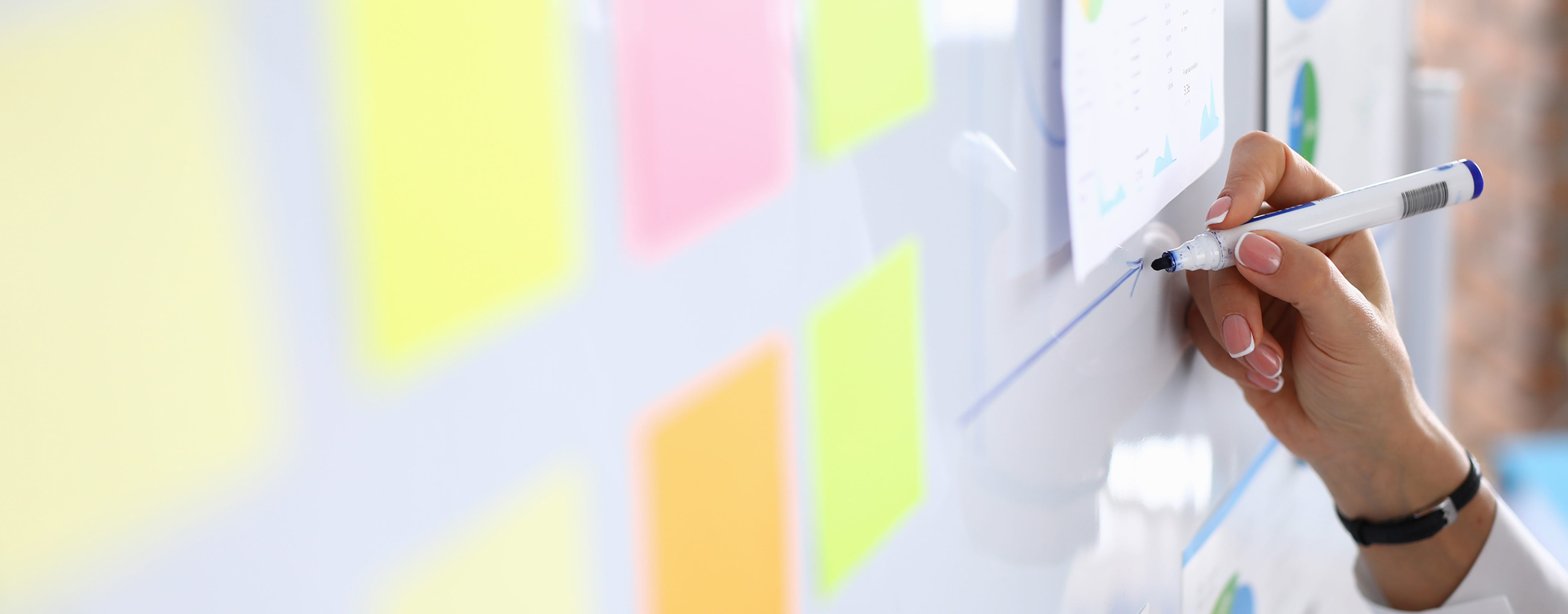 EDUCATION 教育事業