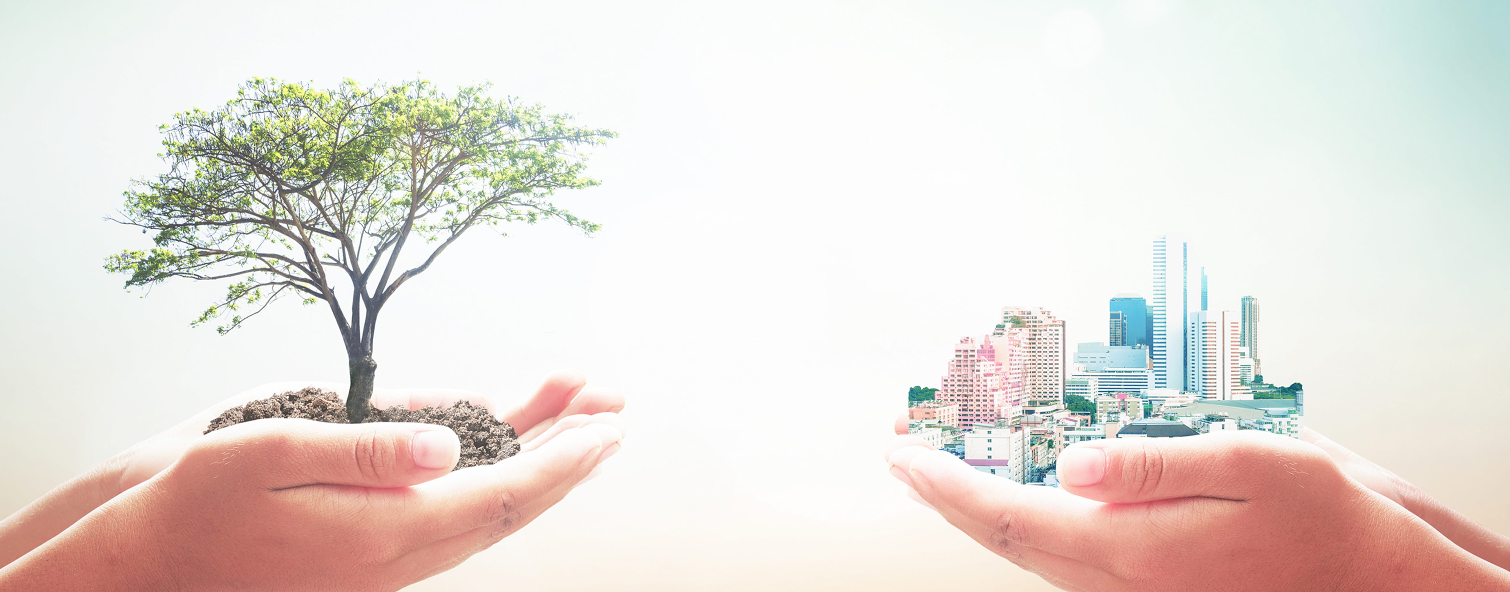 SUSTAINABILITY サステナビリティ